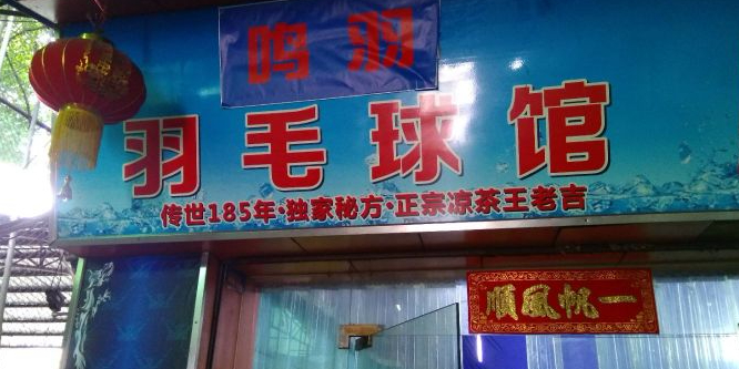 广州鸣羽羽毛篮球