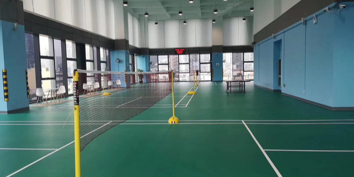 深圳自贸中心羽毛球场