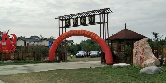 文武龙虾基地