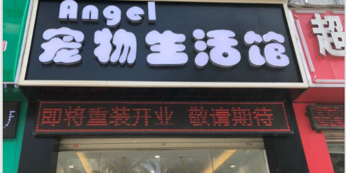 Angel宠物生活馆(海垦店)