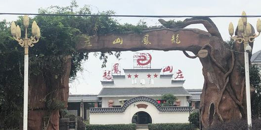 龙凤山庄(岩新路店)