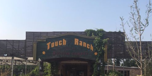 Touch假日牧场