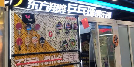 东方翔烨乒乓丘培训俱乐部(国瑞店)