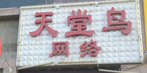 天堂料网络(石化大道店)