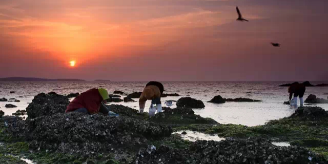 赶海海滩