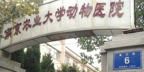 南京农业大学动物医学院附属动物医院