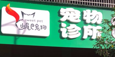 宠物诊所(荔枝西路店)