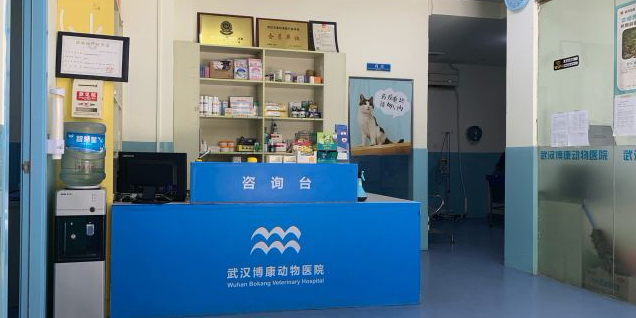 武汉市博康动物医院
