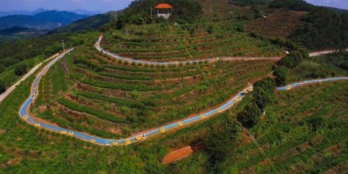南安市皇旗尖生态茶园