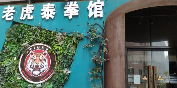 老虎跆拳馆