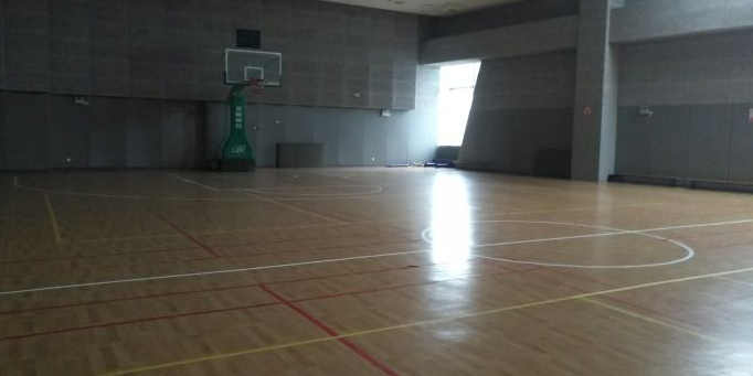 苏州独墅湖高等教育区体育发展中心体育馆-篮球场