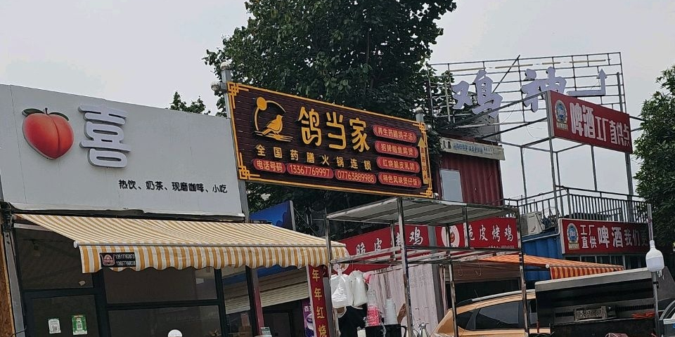 鸽当家