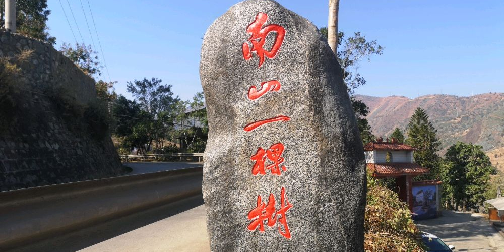 南山一颗树