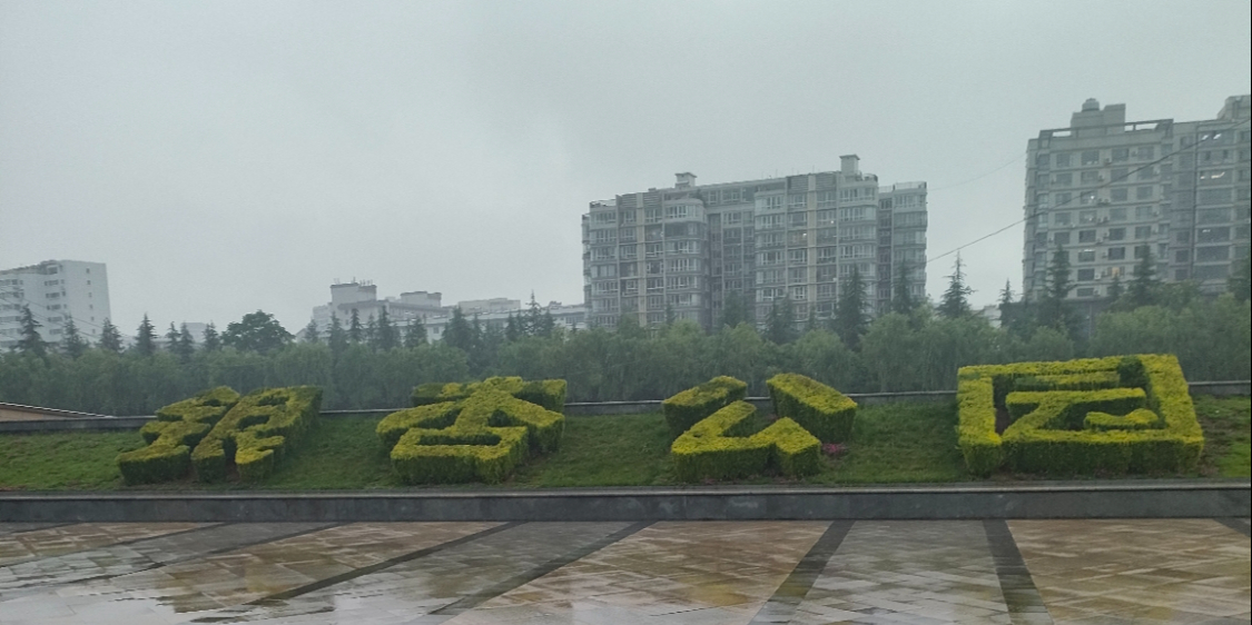 滨江银杏公园