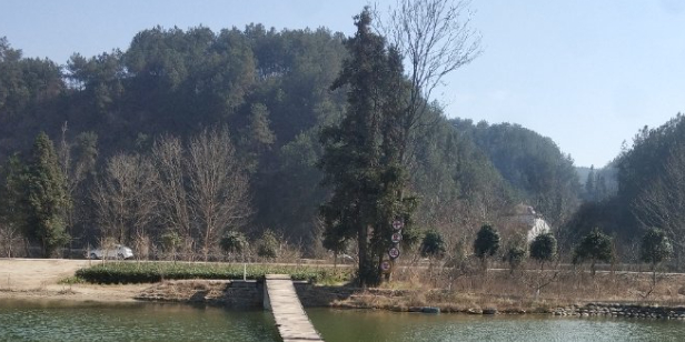 十里桃花风景区