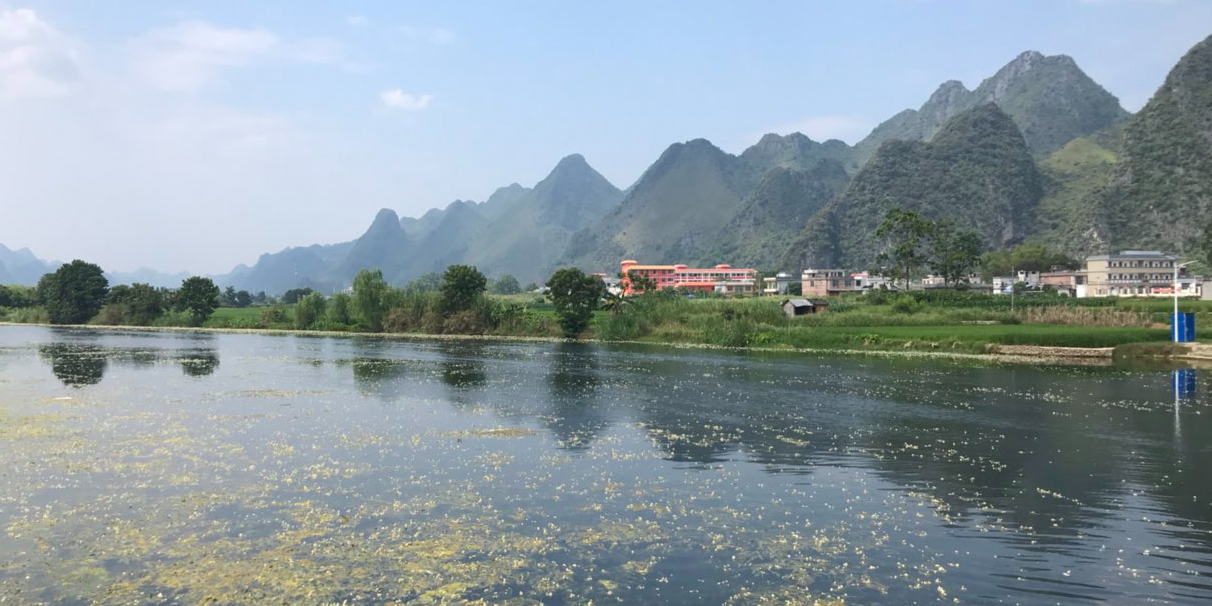澄江国家湿地公园