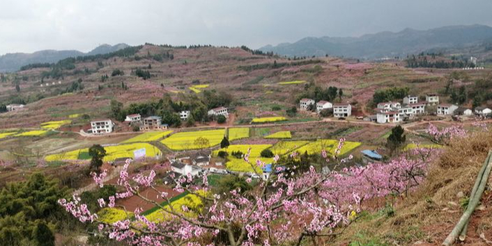 桃花山