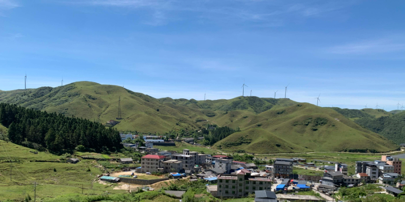高山红哨