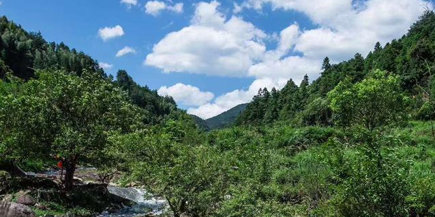 五龙源景区