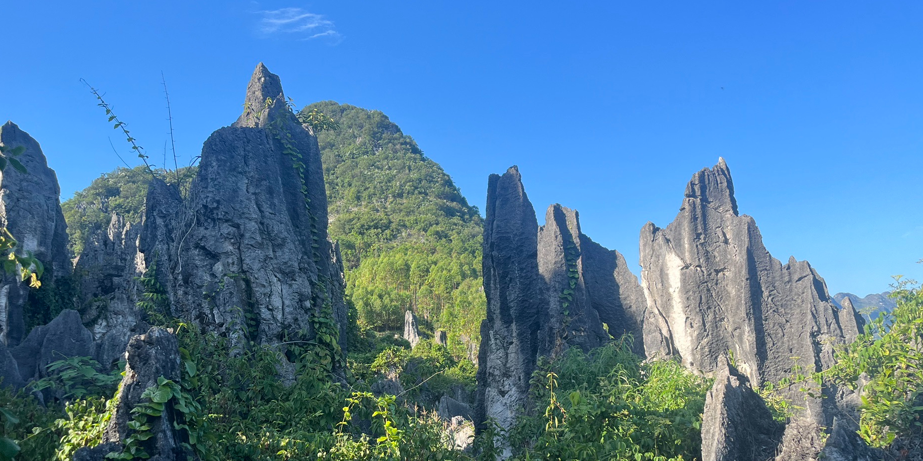 泥凼石林风景区