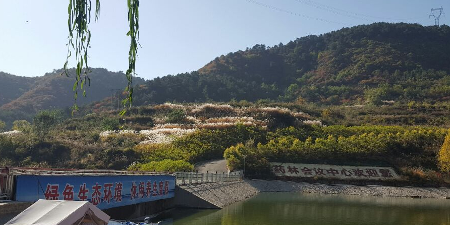 龙海山生态环境旅游区