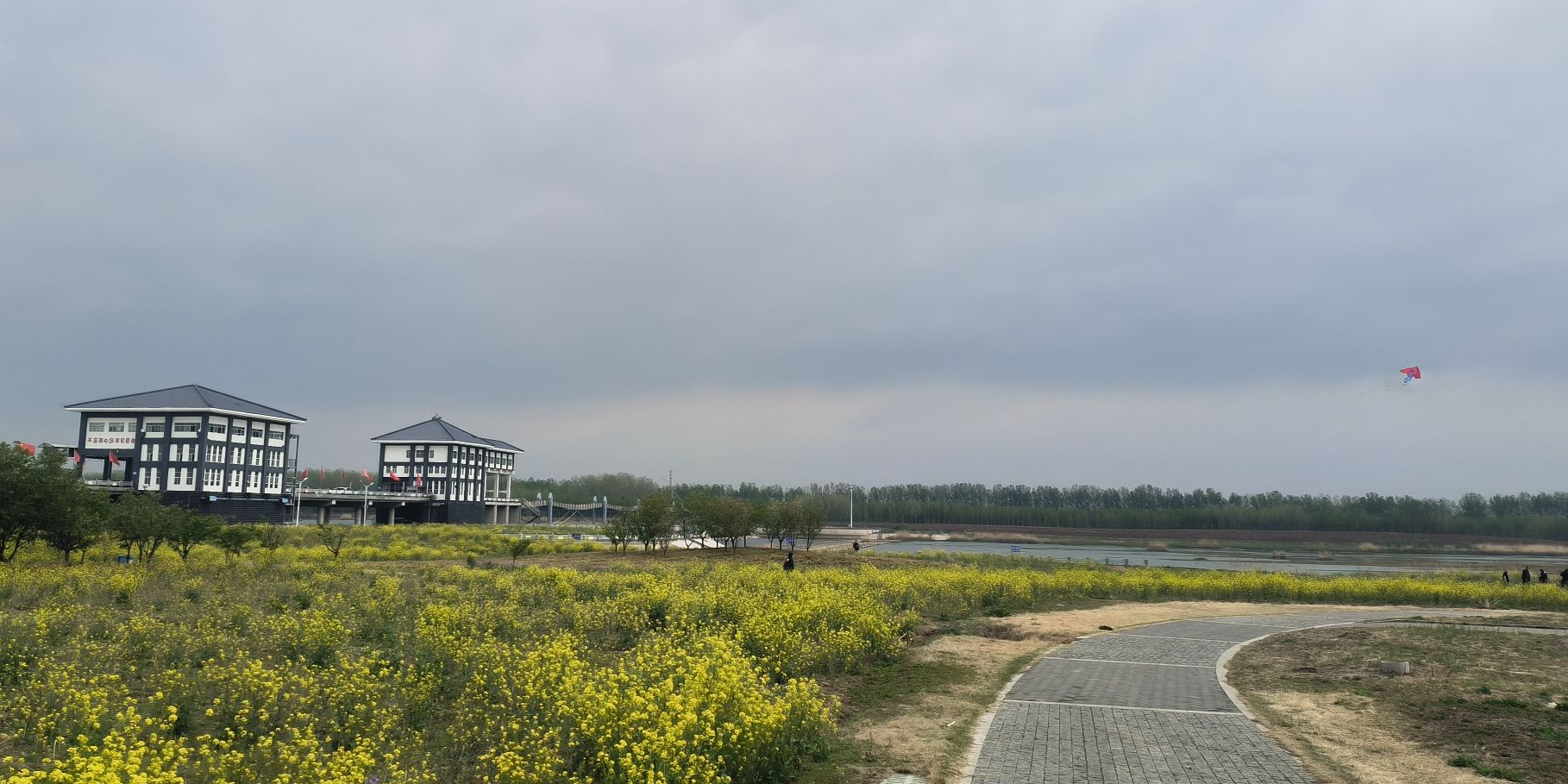 邳州银杏湖景区区