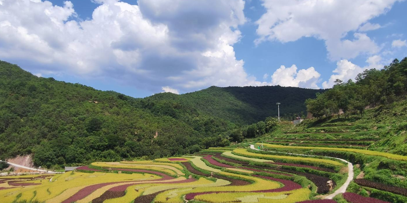 核桃箐彝族文化生态旅游景区