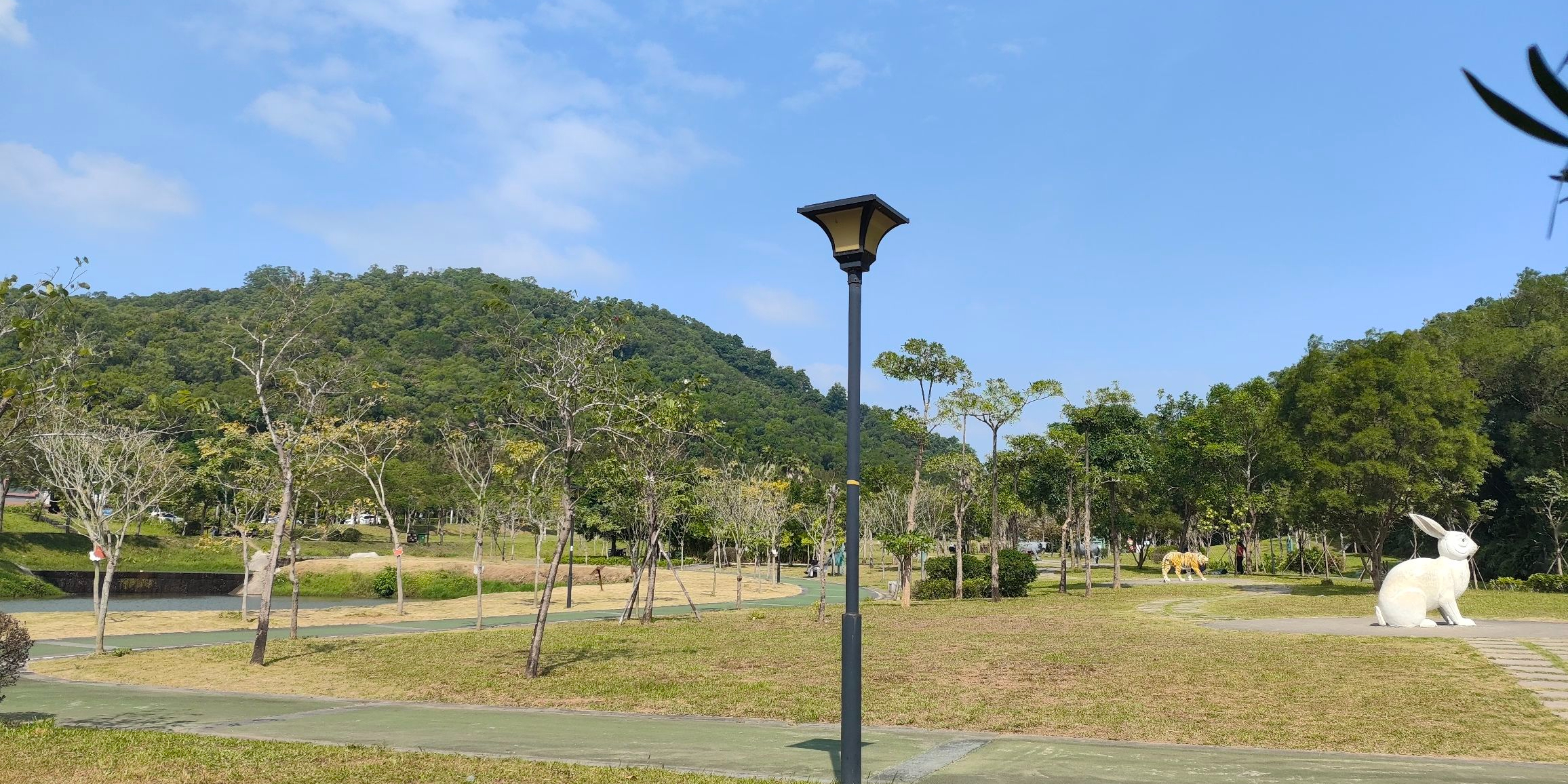 金鸡岭森林公园