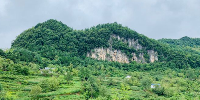 米仓山国家级自然保护区