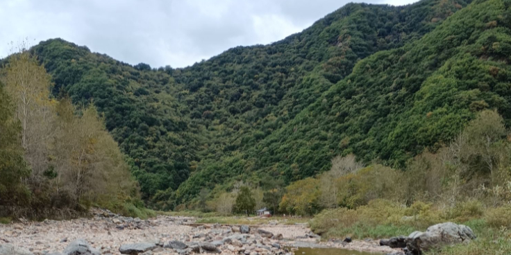 湖里景区
