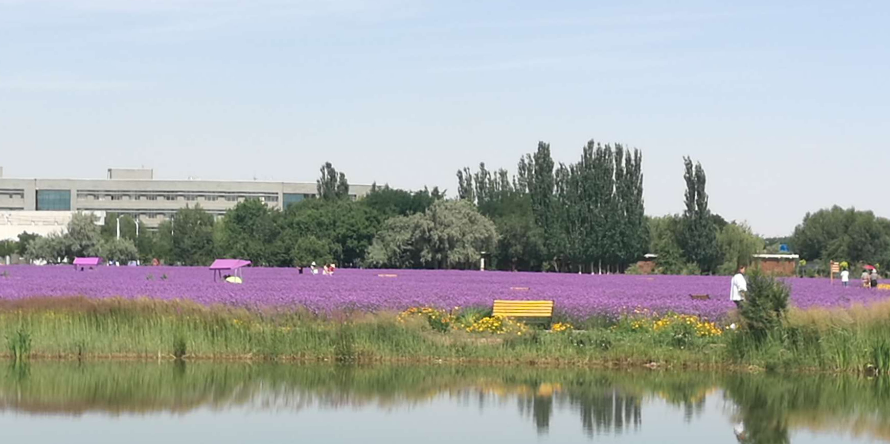 紫荆花卉广场紫金花城基地景区-北1门