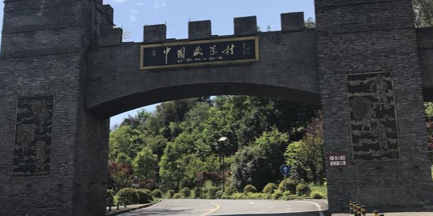 中国藏茶村