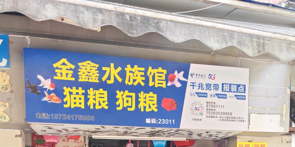 金鑫水族馆