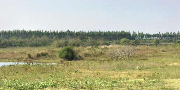 大田坡鹿保护区