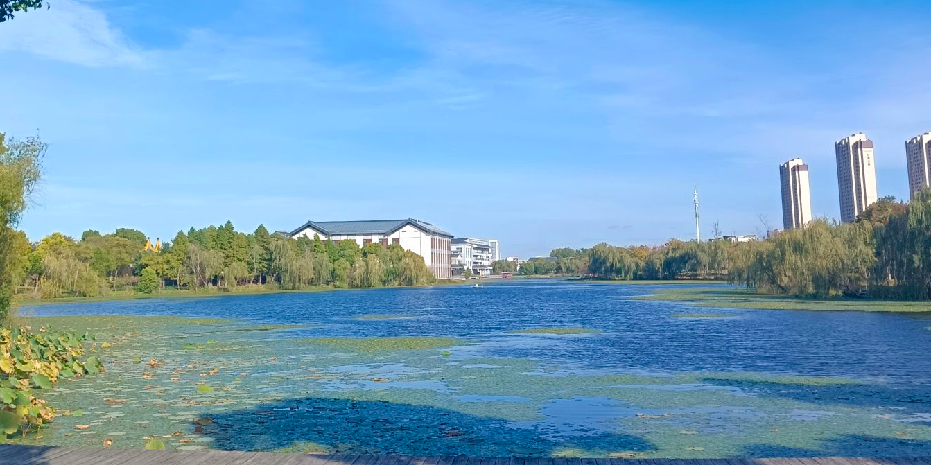 东方湿地公园