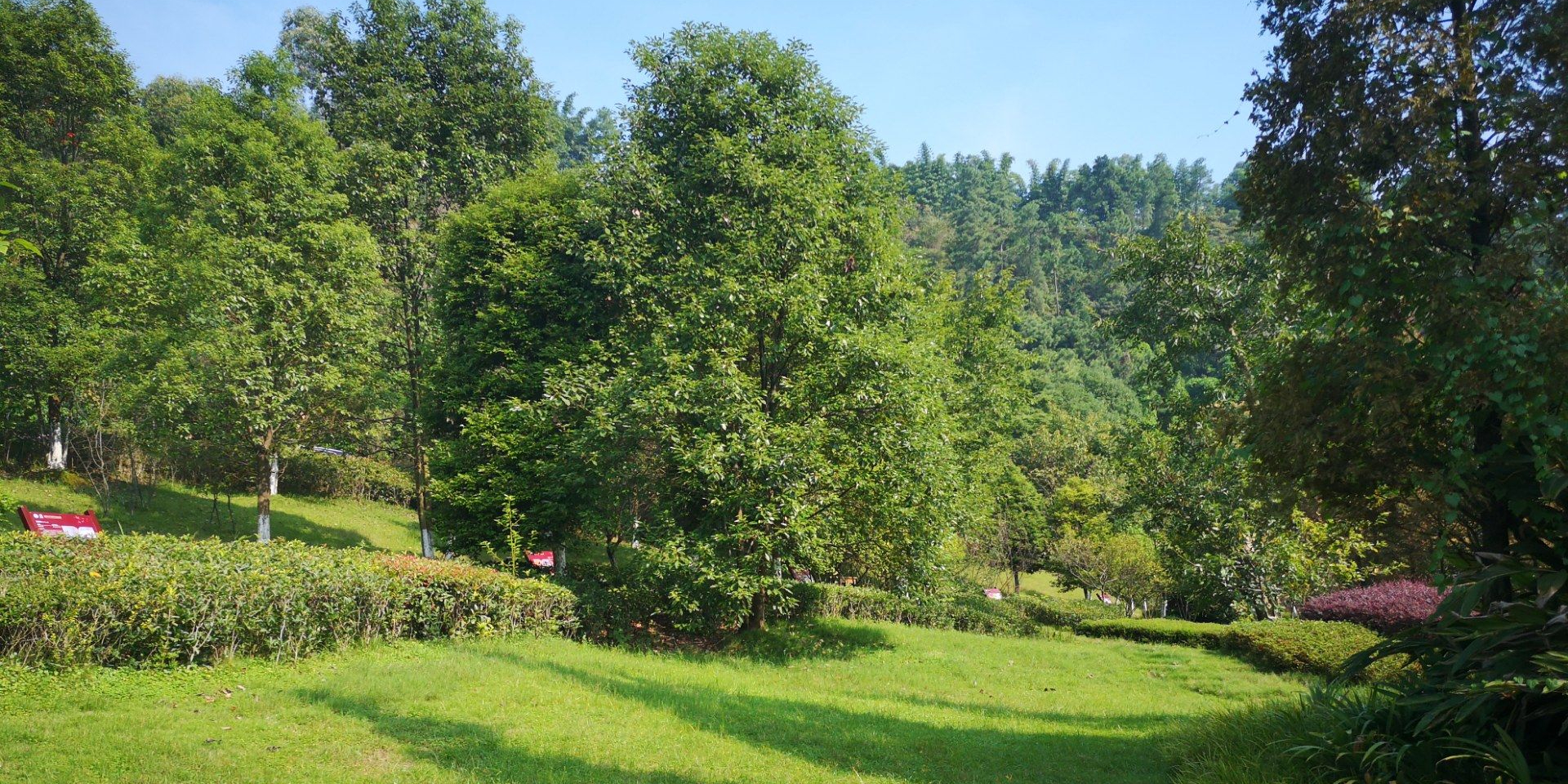娃娃山湿地公园