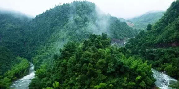 马头山原始森林