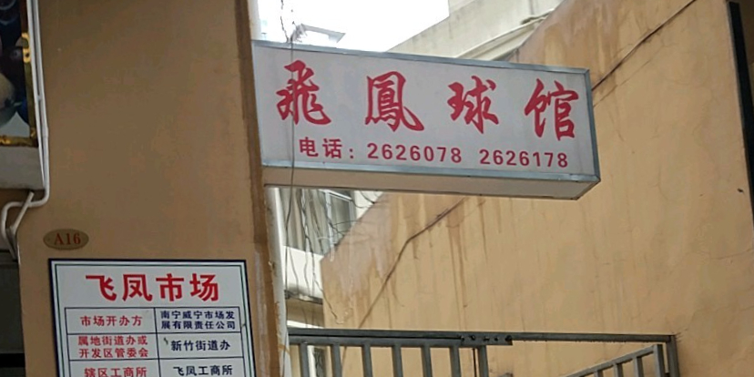 飞凤羽毛球馆