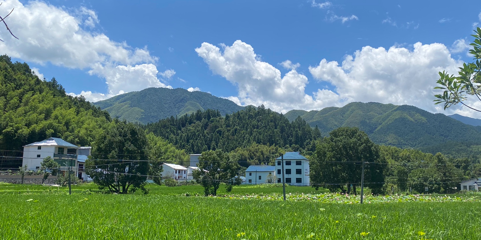 江西省吉安市井冈山市茨坪镇南山路1号