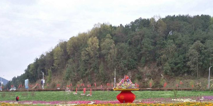 射洪桃花山风景区