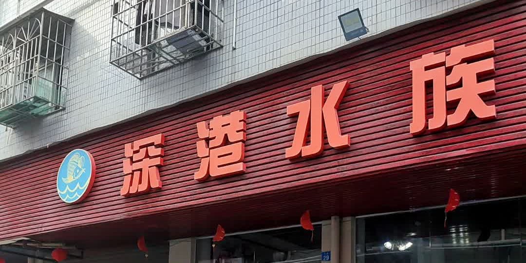 深圳市龙华区大浪鑫深港水族馆(华悦路店)