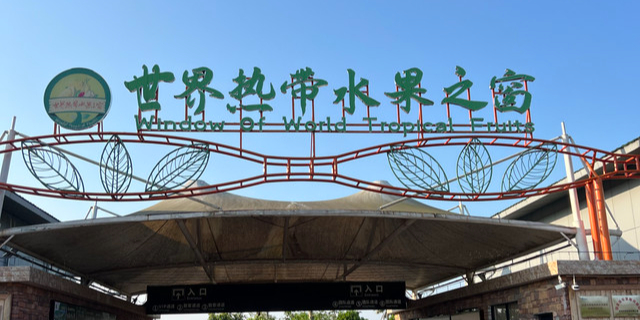 世界热带水果之窗(海南盛大共享农庄)