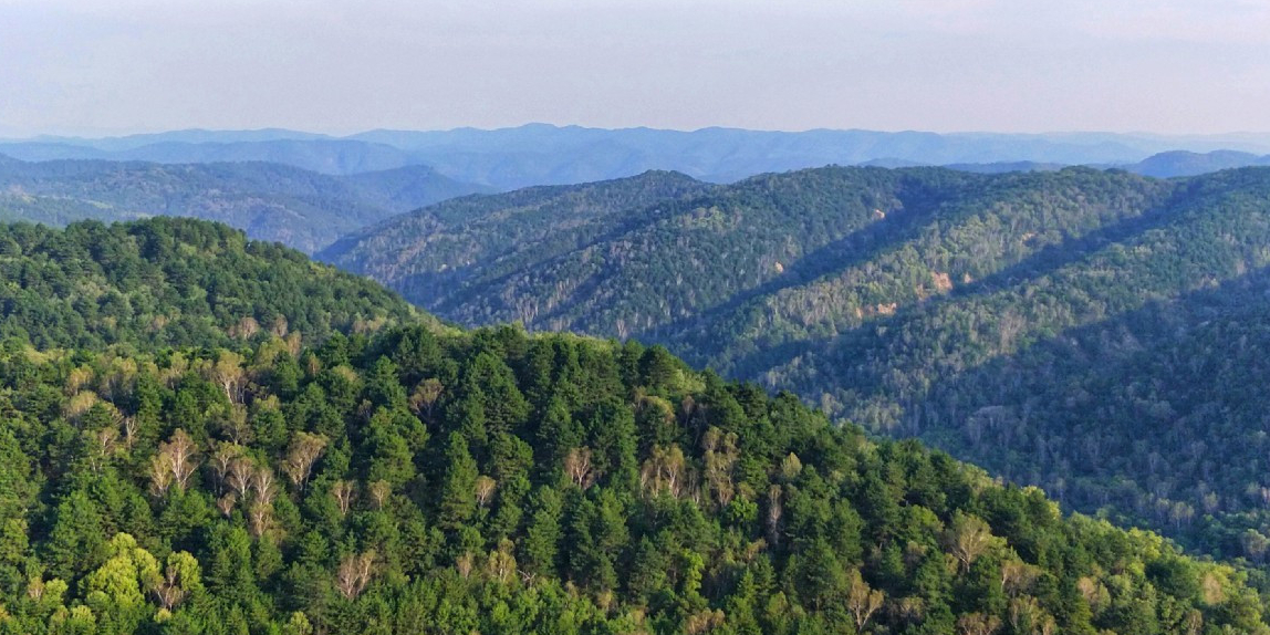 黄龙山