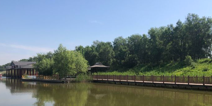 盘锦苇海湿地景区