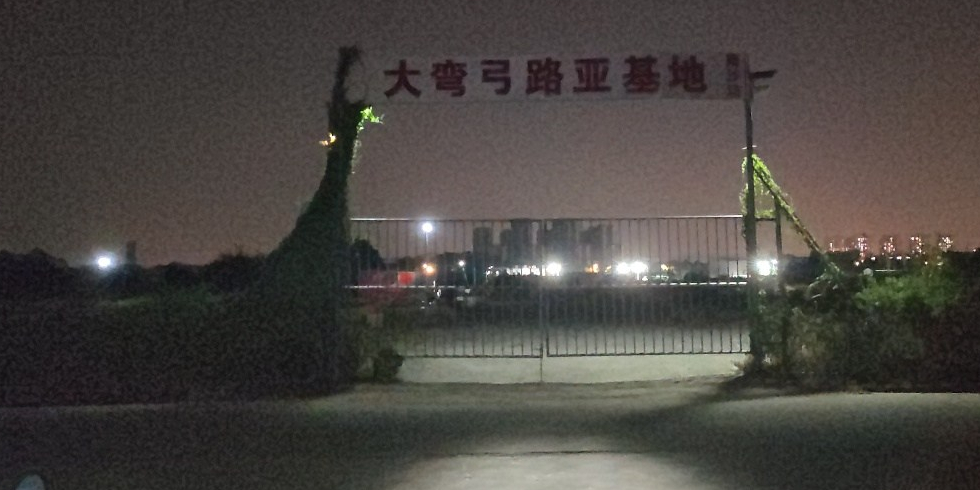 大弯弓路亚基地