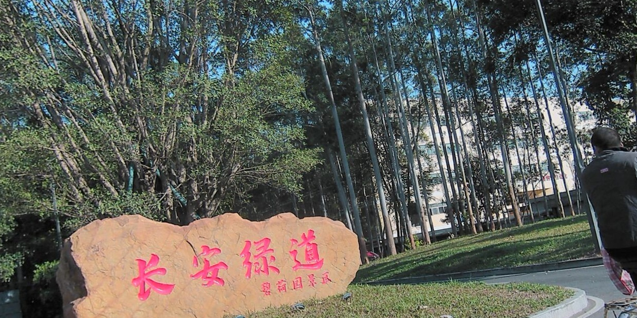 长安绿道碧荷园景区