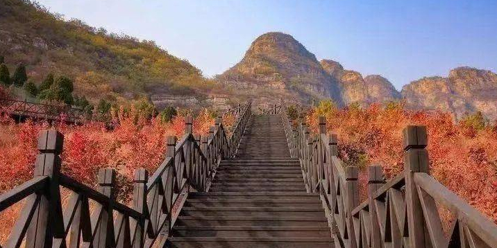 巫山神女景区巫峡红叶步道