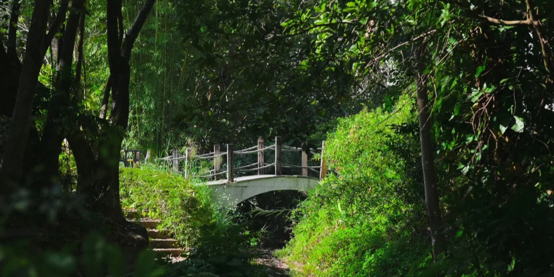 金山体育公园