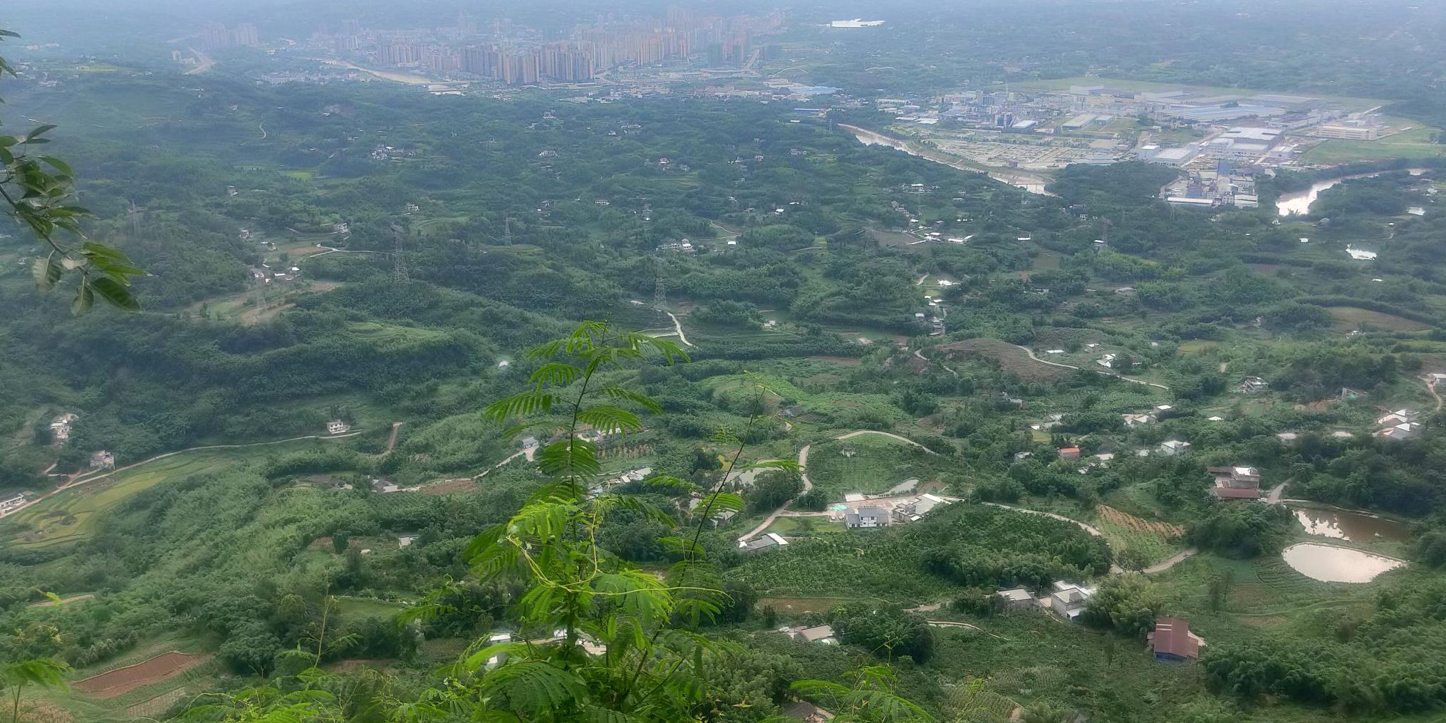 佛来山