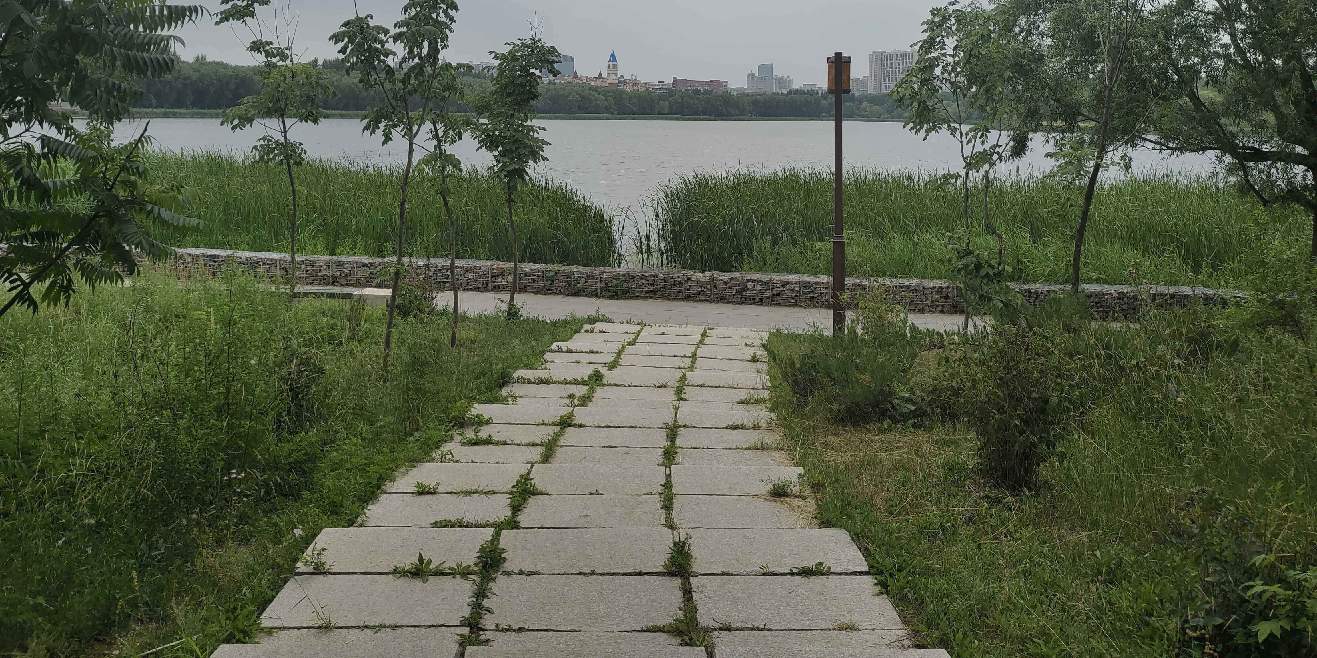 芦苇荡生态自然风光区